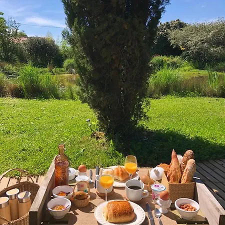Au Domaine Des Oiseaux Ses Sa Gloriette Insolite Face A L'etang Bucolique 3* Vandré