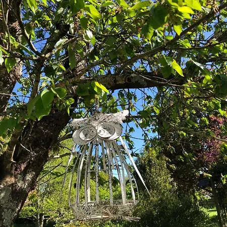 Au Domaine Des Oiseaux Ses Sa Gloriette Insolite Face A L'etang Bucolique Vandré